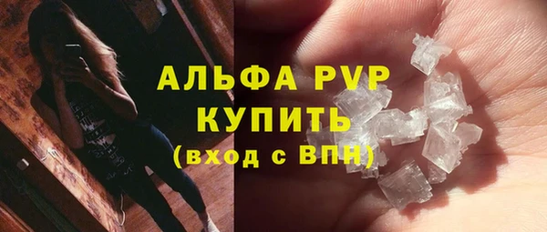 ГАЛЛЮЦИНОГЕННЫЕ ГРИБЫ Белокуриха