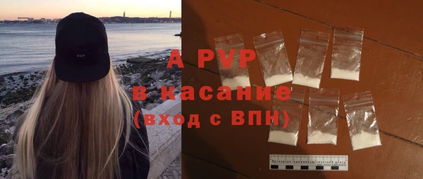 ГАЛЛЮЦИНОГЕННЫЕ ГРИБЫ Белокуриха
