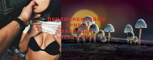 ГАЛЛЮЦИНОГЕННЫЕ ГРИБЫ Белокуриха