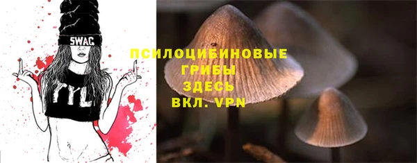 сатива Белоозёрский